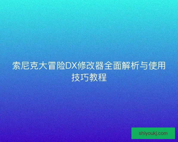 索尼克大冒险DX修改器全面解析与使用技巧教程
