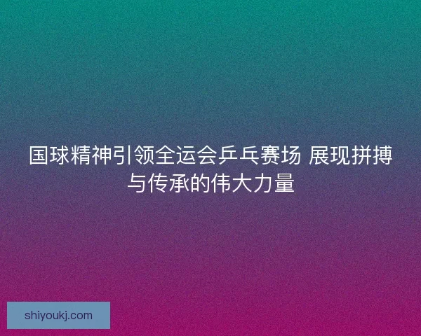 国球精神引领全运会乒乓赛场 展现拼搏与传承的伟大力量